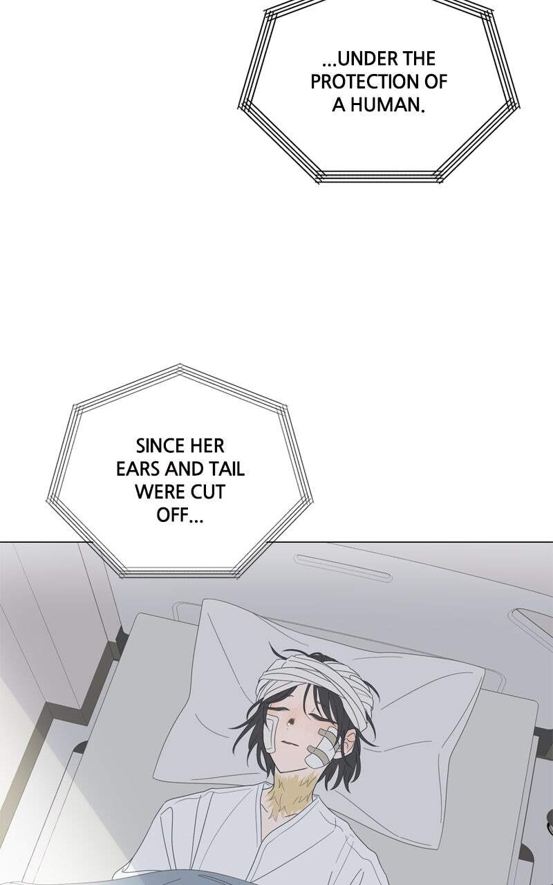 Read Moon Child chapter 105 image 51 on Lezhin