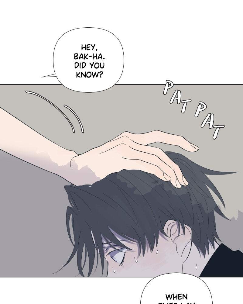 Read Moon Child chapter 24 image 70 on Lezhin