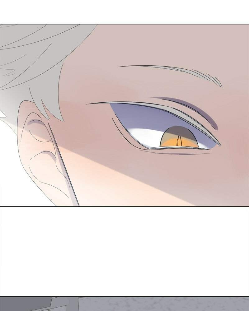 Read Moon Child chapter 59 image 59 on Lezhin
