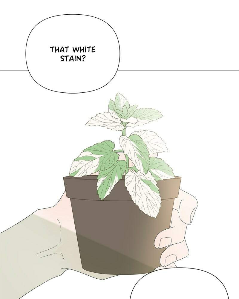 Read Moon Child chapter 79 image 55 on Lezhin