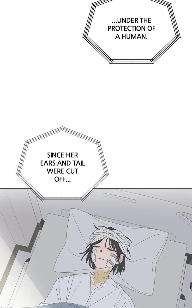 Read Moonchild chapter 105 image 51 on Lezhin