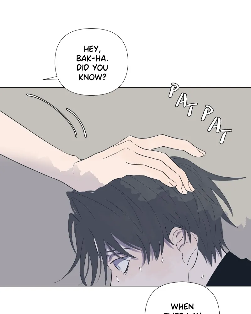 Read Moonchild chapter 24 image 70 on Lezhin