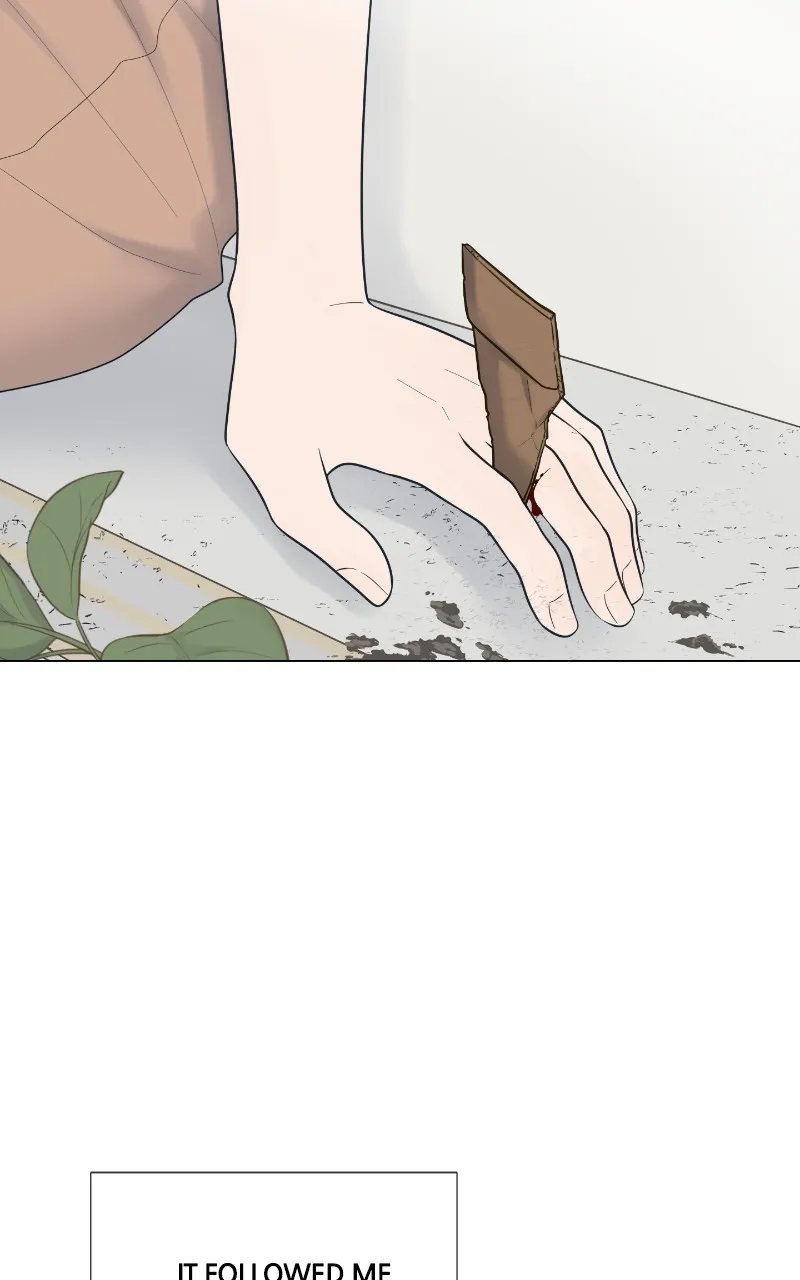 Read Moonchild chapter 8 image 72 on Lezhin