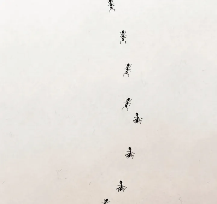 Read Moonstruck chapter 25 image 1 on Lezhin