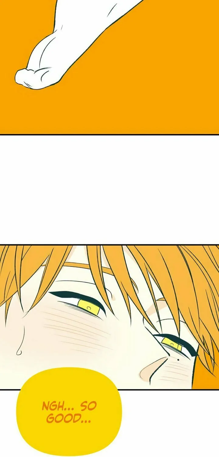 Read Moonstruck chapter 43 image 4 on Lezhin