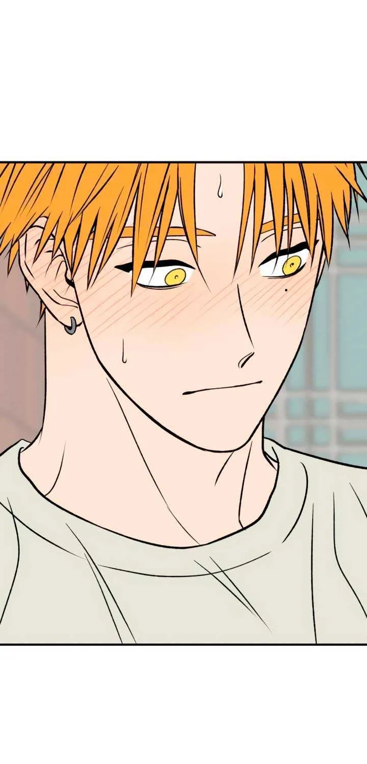 Read Moonstruck chapter 48 image 29 on Lezhin