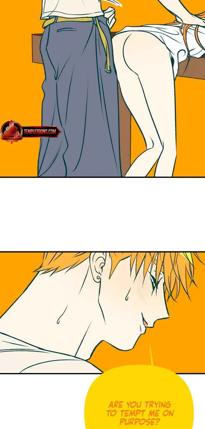 Read Moonstruck chapter 49 image 53 on Lezhin