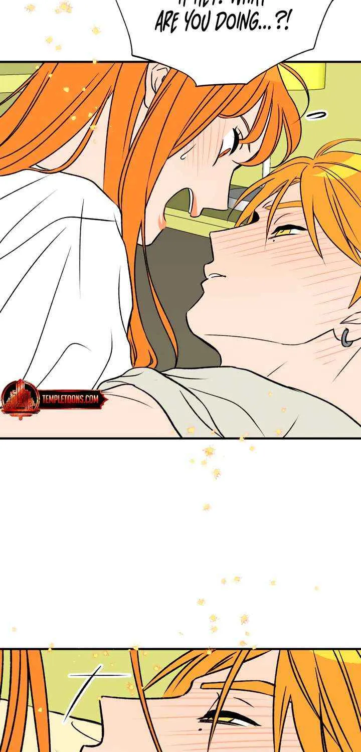 Read Moonstruck chapter 49 image 71 on Lezhin