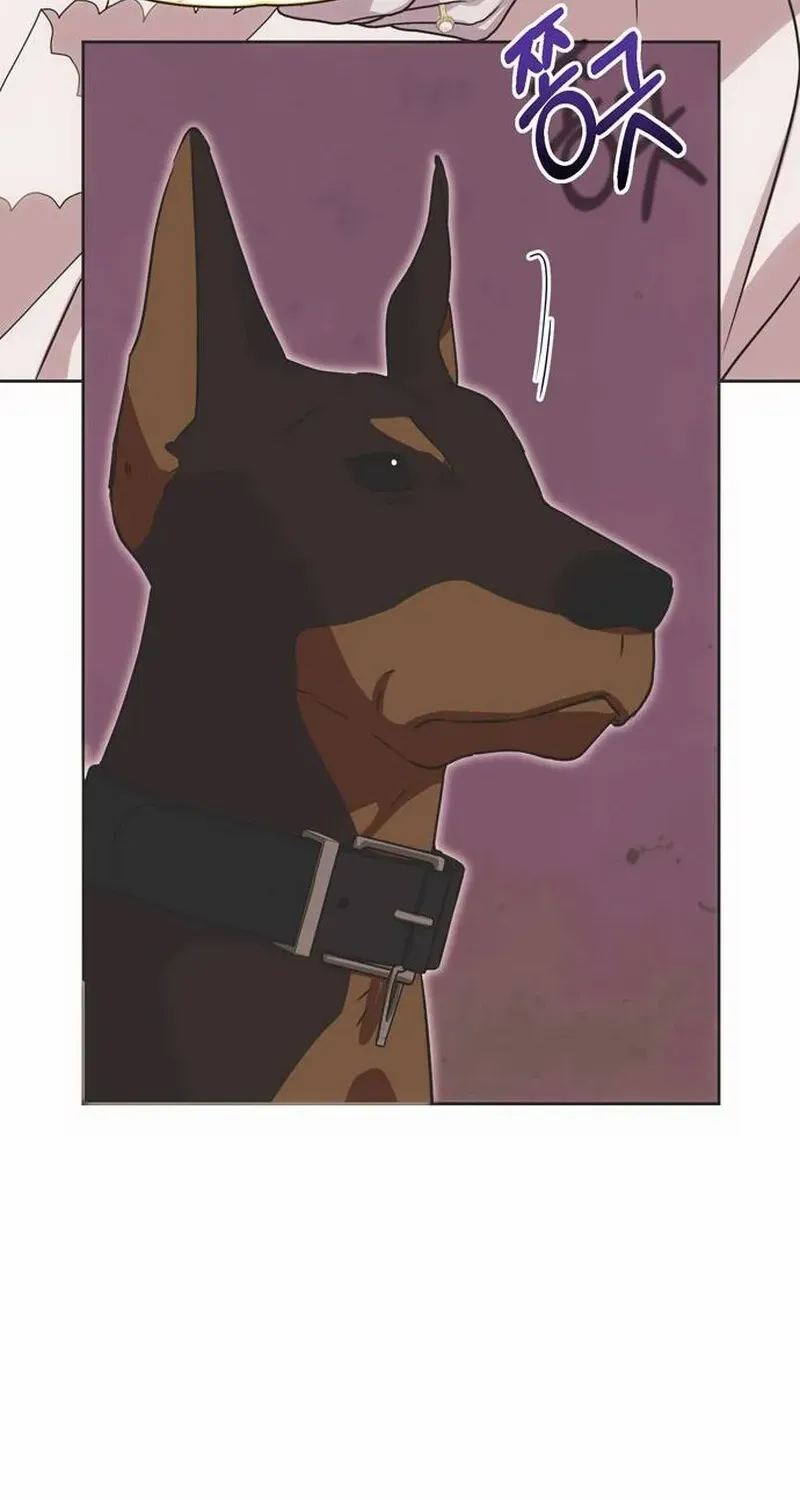 Read Moral-less Scandal chapter 1 image 13 on Lezhin