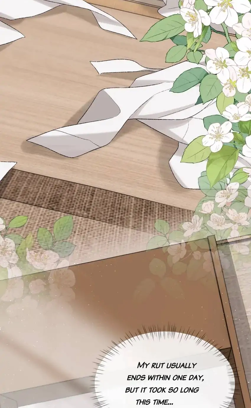 Read Morbid Attachment chapter 95 image 3 on Lezhin