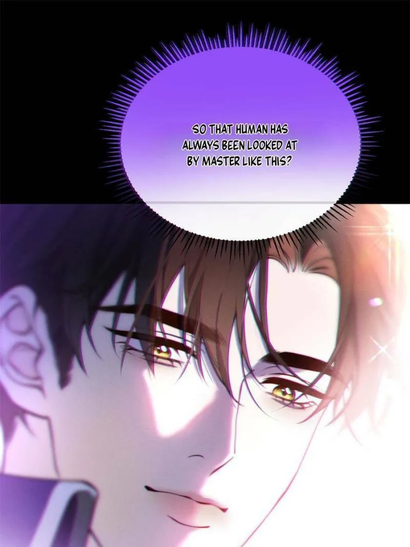 More Than a Toy to Vampire Lord DeWitt Chapter 51 page 47 - 