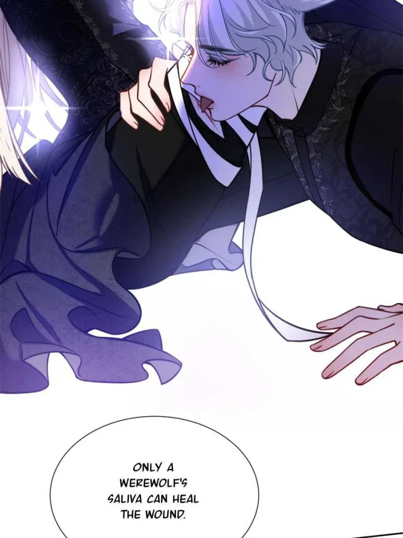 More Than a Toy to Vampire Lord DeWitt Chapter 53 page 38 - 