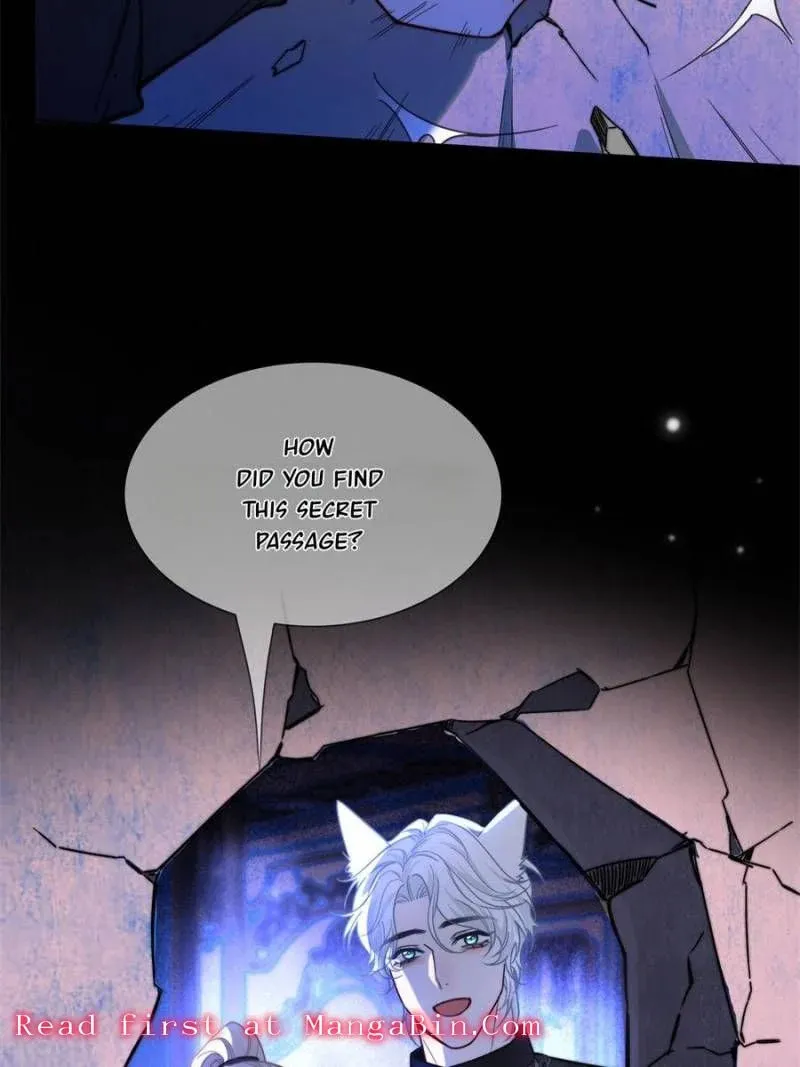 More Than a Toy to Vampire Lord DeWitt Chapter 54 page 13 - 