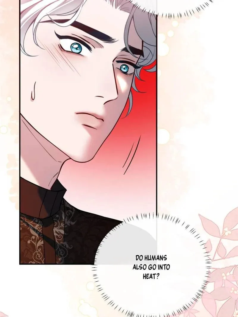 More Than a Toy to Vampire Lord DeWitt Chapter 55 page 41 - 