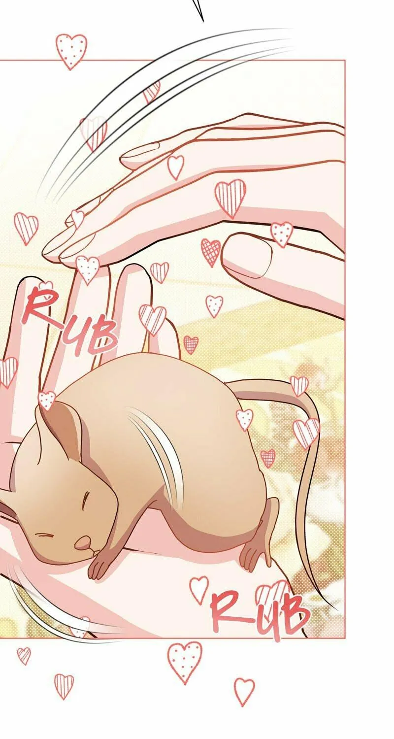 Read More Than You Know (RAMMILL) chapter 54 image 74 on Lezhin