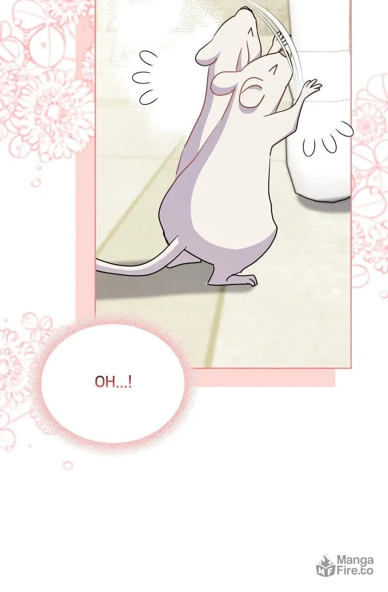 Read More Than You Know (RAMMILL) chapter 63 image 83 on Lezhin