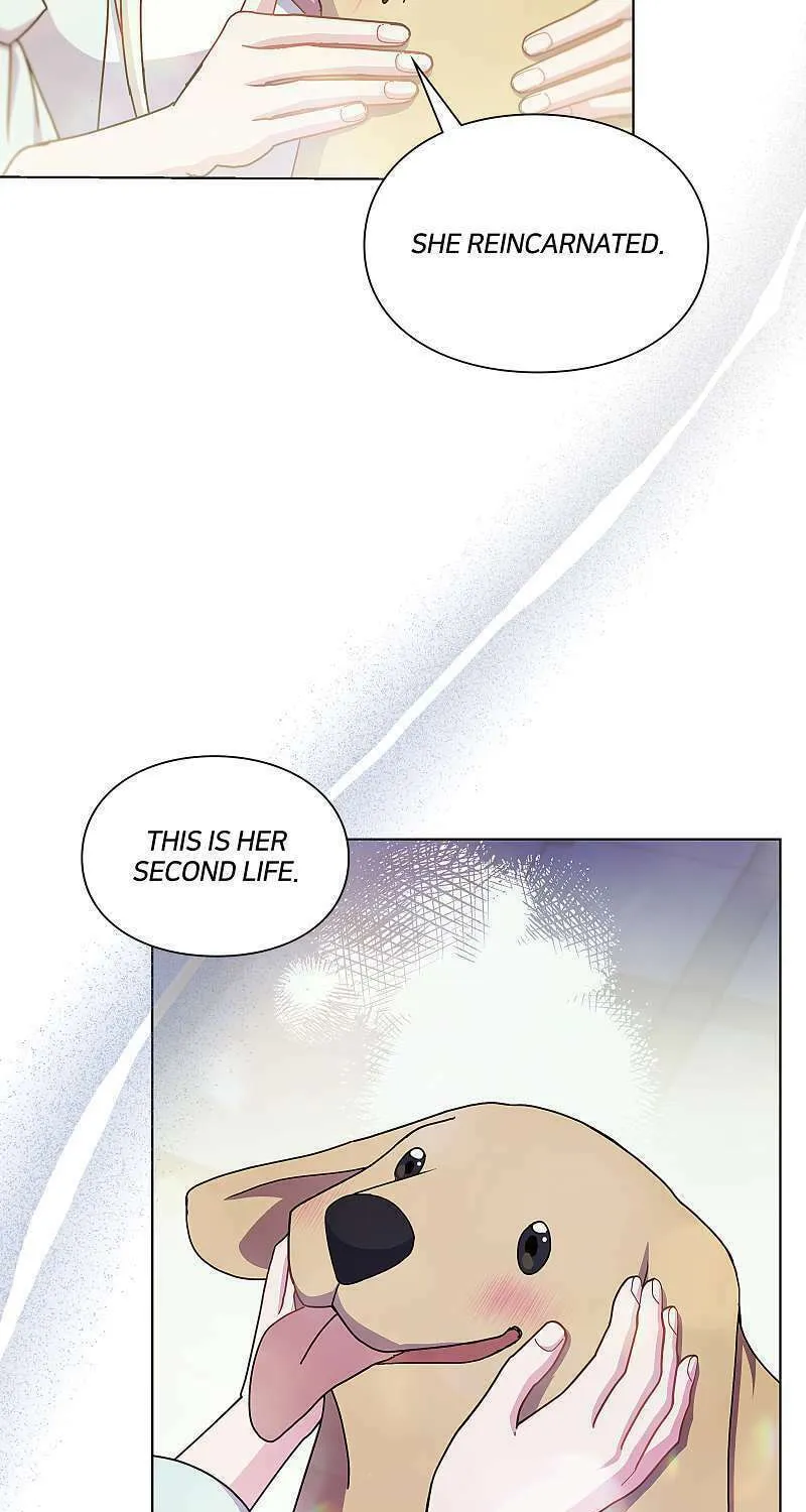 Read More Than You Know (RAMMILL) chapter 72 image 107 on Lezhin