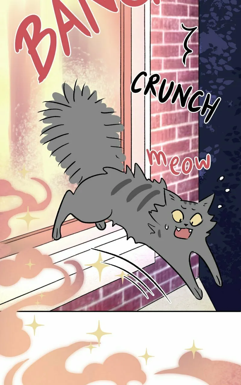 Read Morgana and Oz chapter 1 image 3 on Lezhin