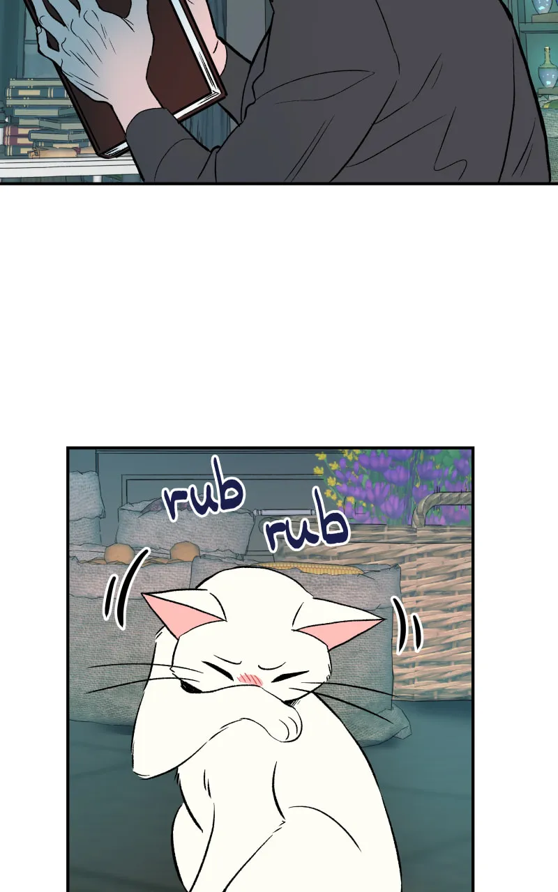 Read Morgana and Oz chapter 12 image 42 on Lezhin