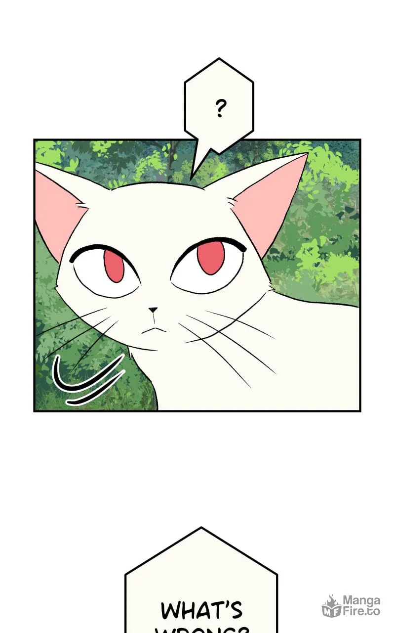 Read Morgana and Oz chapter 13 image 54 on Lezhin