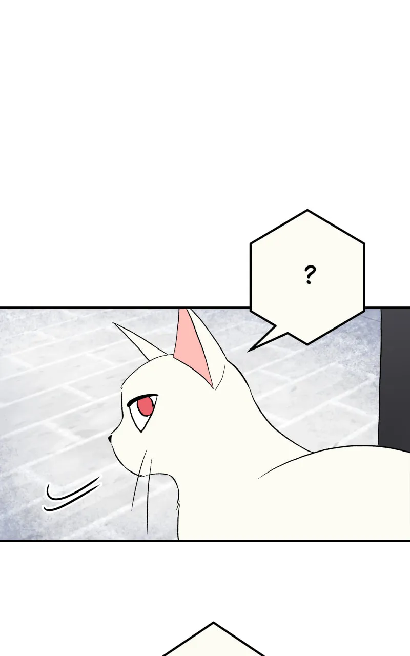 Read Morgana and Oz chapter 14 image 36 on Lezhin