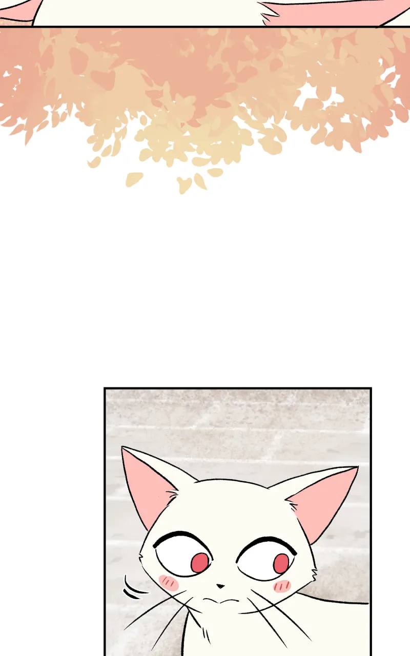 Read Morgana and Oz chapter 14 image 55 on Lezhin