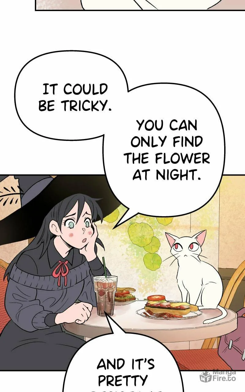 Read Morgana and Oz chapter 15 image 5 on Lezhin