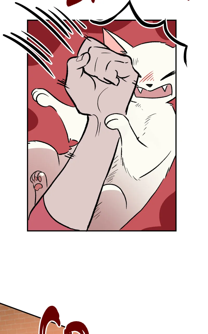 Read Morgana and Oz chapter 17 image 57 on Lezhin