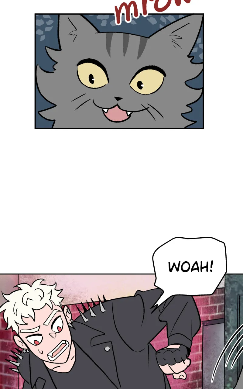 Read Morgana and Oz chapter 2 image 63 on Lezhin