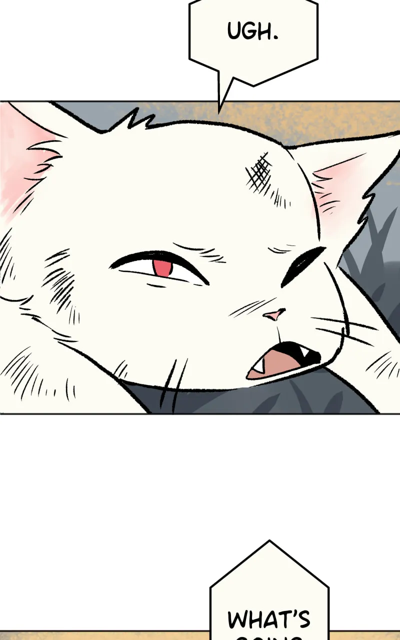 Read Morgana and Oz chapter 4 image 3 on Lezhin