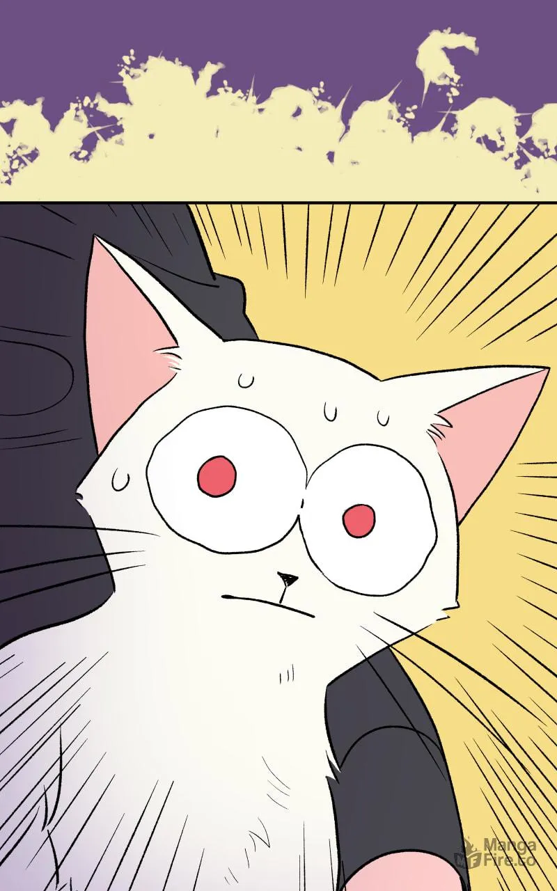 Read Morgana and Oz chapter 52 image 62 on Lezhin