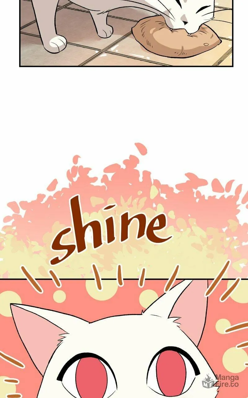 Read Morgana and Oz chapter 55 image 39 on Lezhin