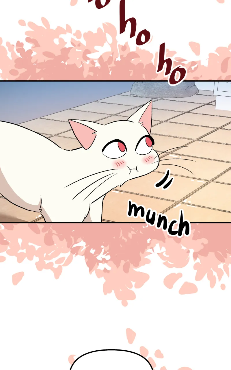 Read Morgana and Oz chapter 55 image 43 on Lezhin