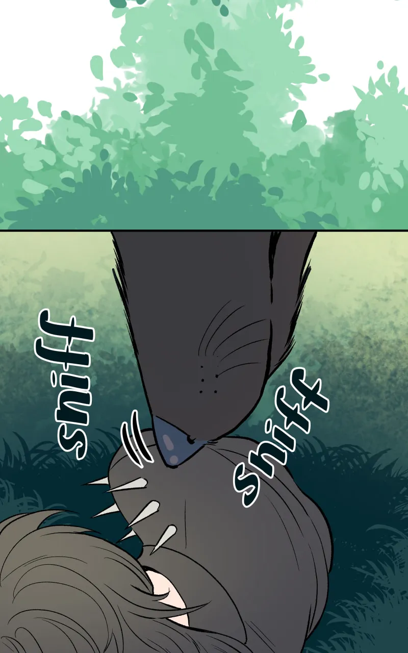 Read Morgana and Oz chapter 61 image 70 on Lezhin