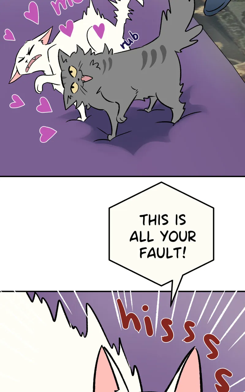 Read Morgana and Oz chapter 8 image 1 on Lezhin