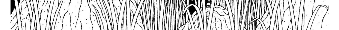 Read Mori no Asagao chapter 43 image 1 on Lezhin