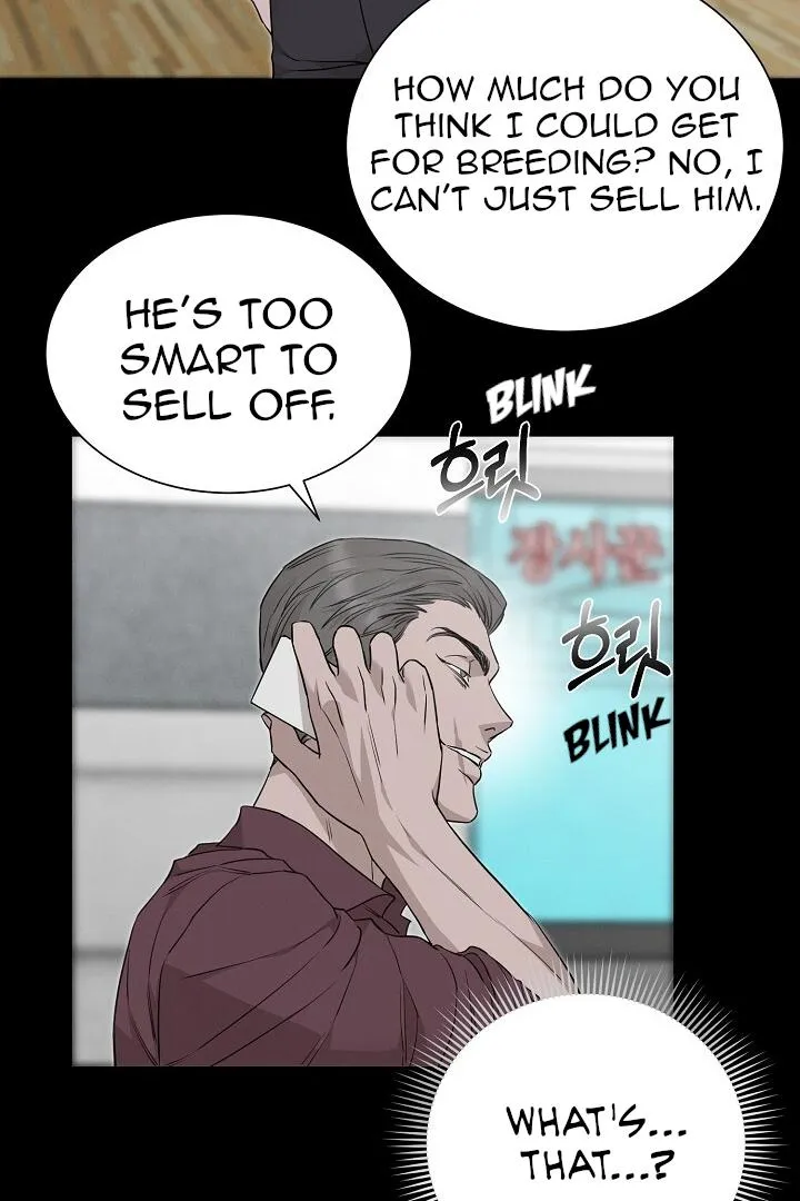 Read Morpheus chapter 11 image 26 on Lezhin