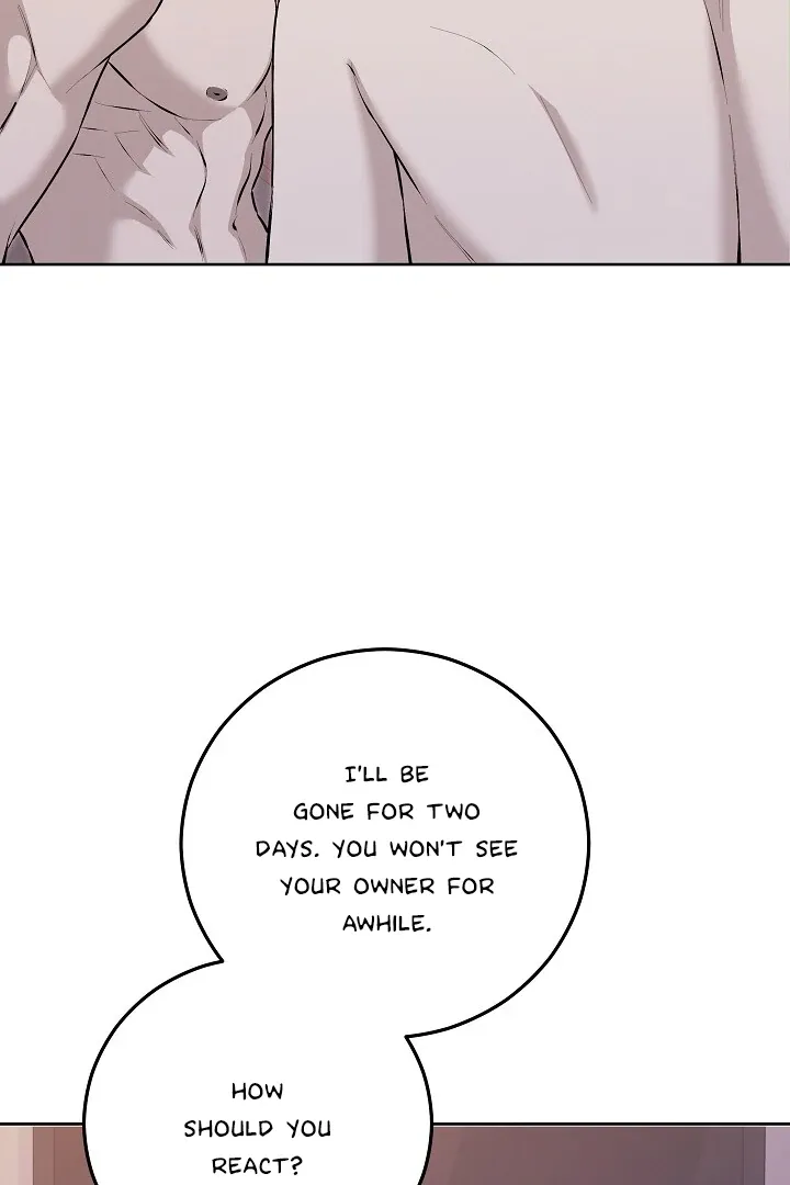 Read Morpheus chapter 53 image 58 on Lezhin