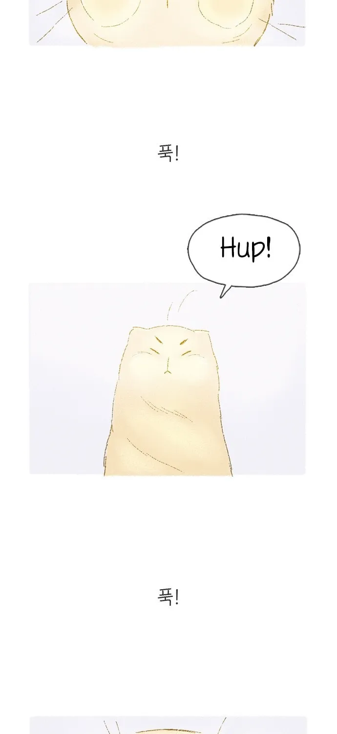 Read Motungi Tteugaebang chapter 4 image 1 on Lezhin