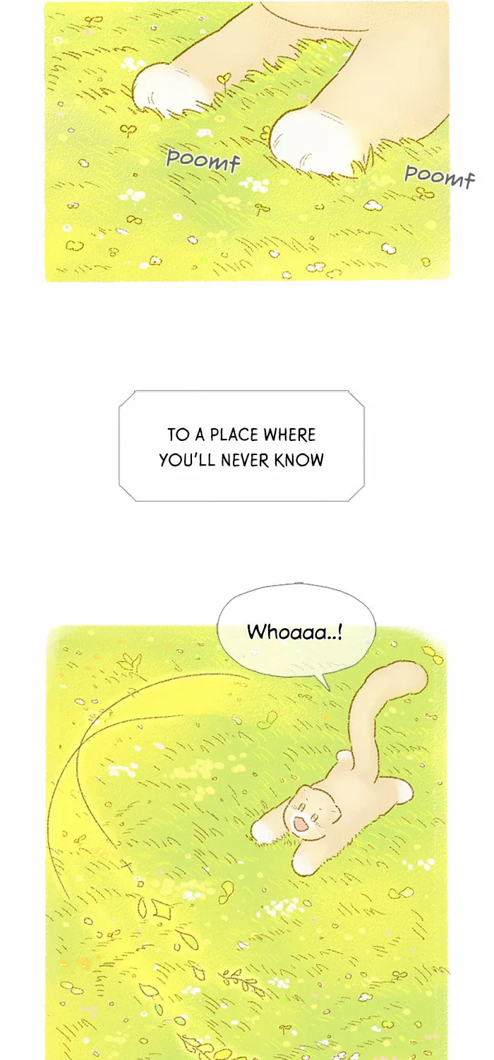 Read Motungi Tteugaebang chapter 44 image 19 on Lezhin