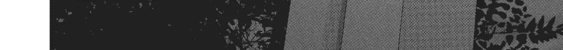 Read Mr. Bride chapter 25 image 51 on Lezhin