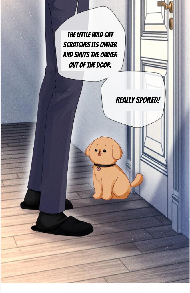 Read Mr. Dior chapter 71 image 34 on Lezhin