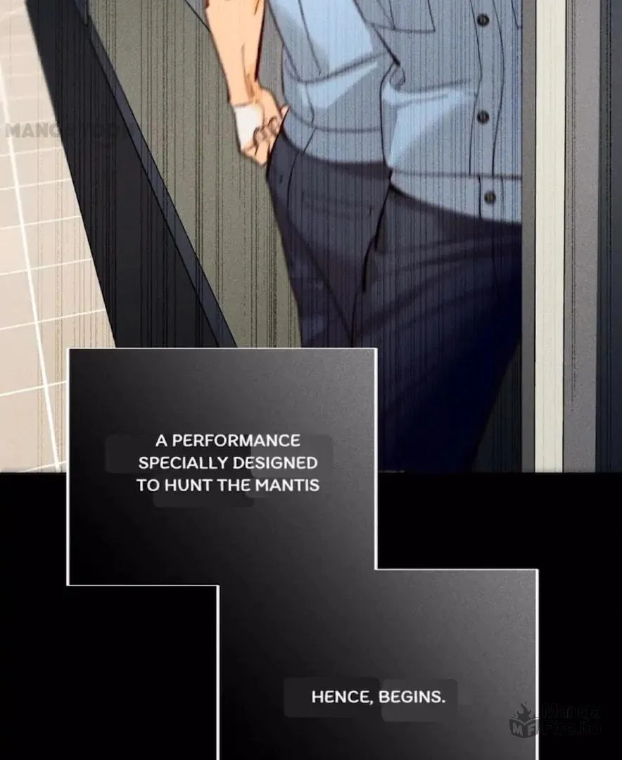 Read Mr Mo