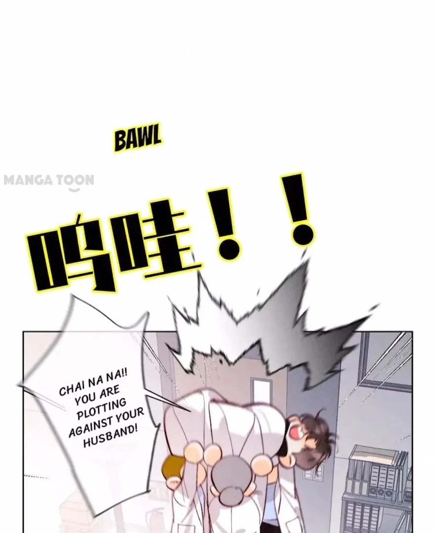 Read Mr Mo
