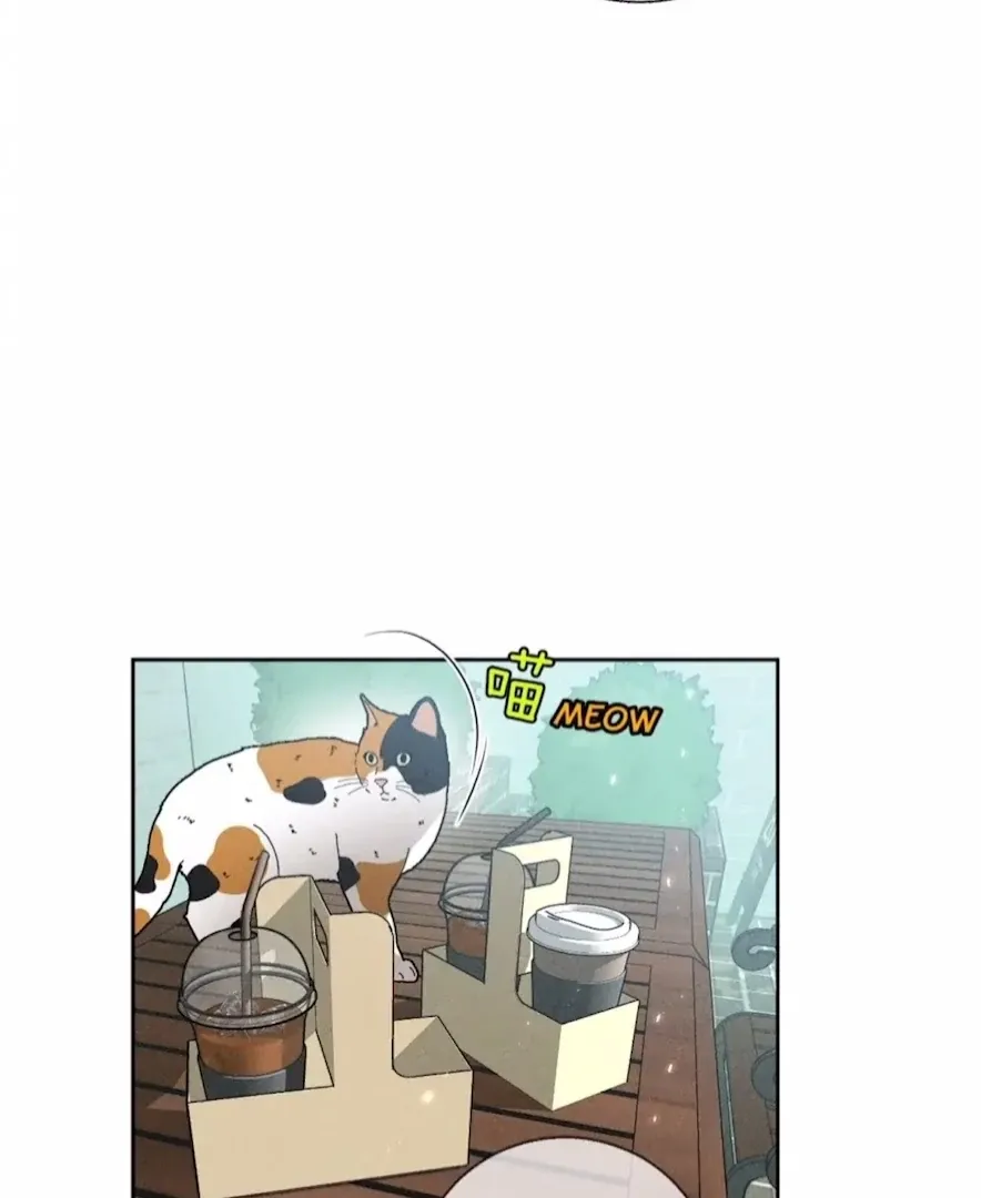 Read Mr Mo’s Secret chapter 47 image 24 on Lezhin