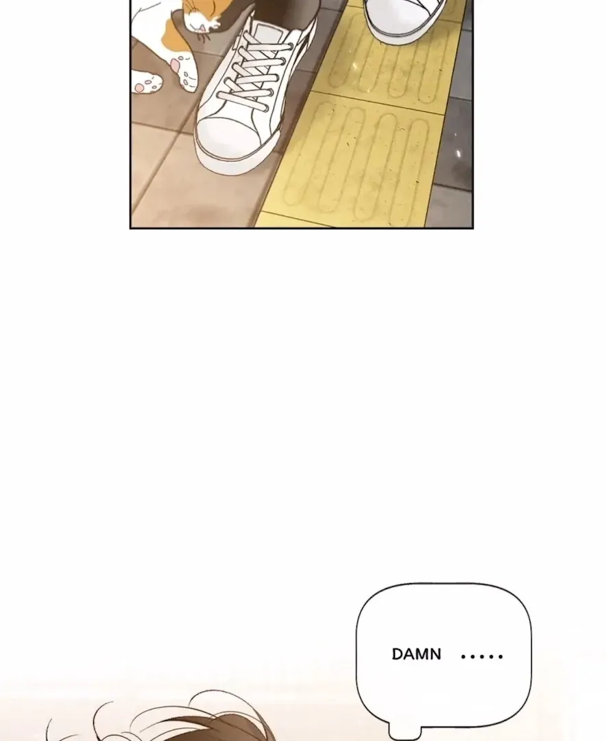 Read Mr Mo’s Secret chapter 47 image 3 on Lezhin