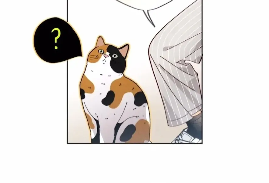 Read Mr Mo’s Secret chapter 47 image 47 on Lezhin