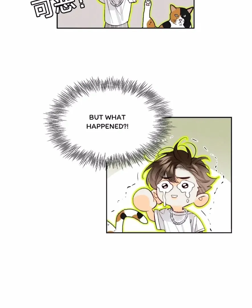 Read Mr Mo’s Secret chapter 47 image 6 on Lezhin