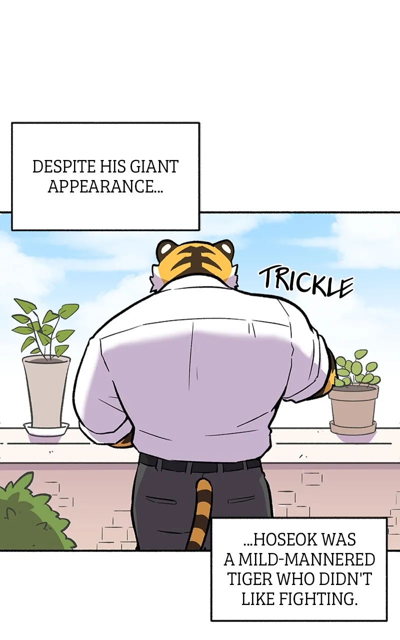 Read Mr. Tiger