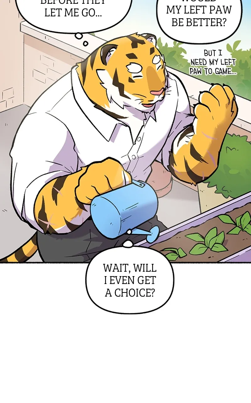 Read Mr. Tiger